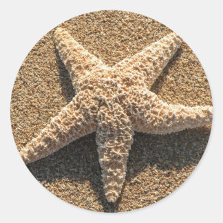 Pegatina Redonda El Starfish en la playa
