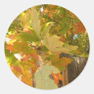 Pegatina Redonda El verano se fue