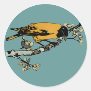 Pegatina Redonda Elaboración del Ilustracion de pájaro de color ama