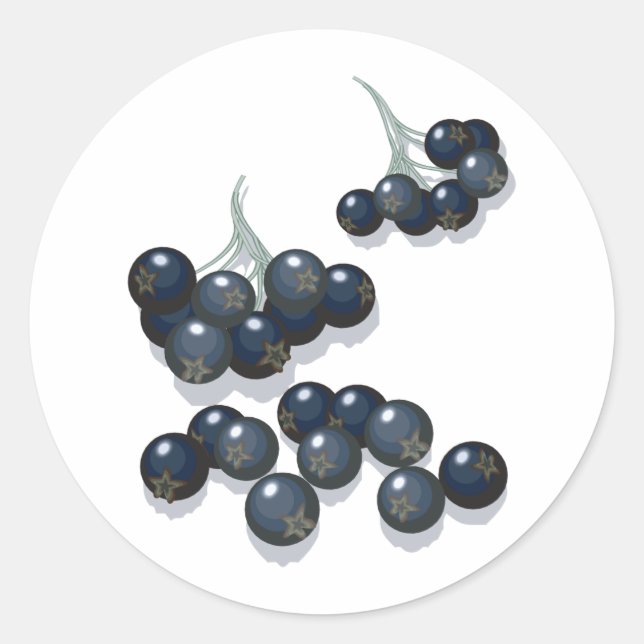 Pegatina Redonda elderberries (Anverso)