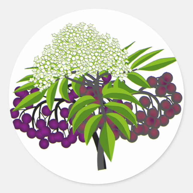 Pegatina Redonda Elderberry (Anverso)