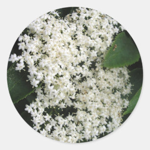 Pegatina Redonda Elderflower