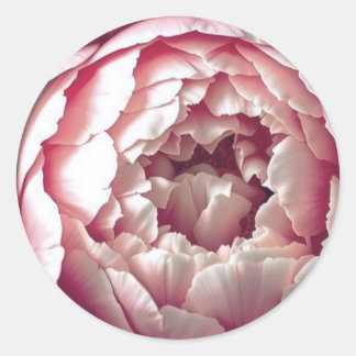 Pegatina Redonda Elegant Wedding invitation Seal rose