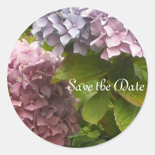 Pegatina Redonda Elegante Hydrangeas (Anverso)
