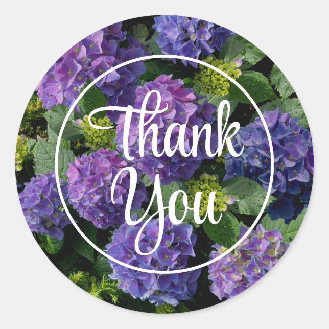 Pegatina Redonda Elegante magenta púrpura azul verde hidrangea flor (Anverso)