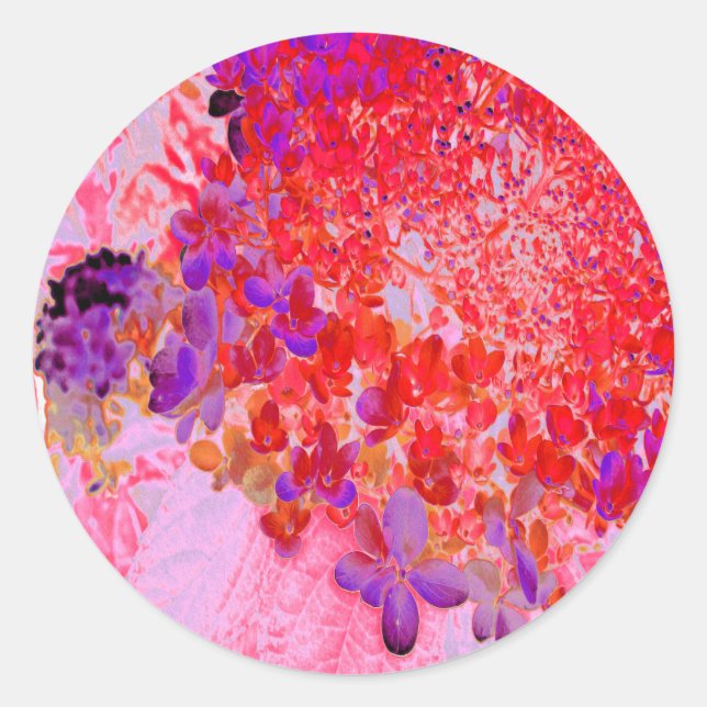 Pegatina Redonda Elegante morado y Naranja Limelight Hydrangea (Anverso)