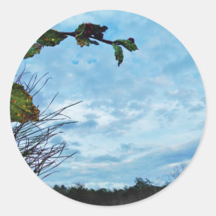 Pegatina Redonda Elegantes Navidades Holly, cielo azul