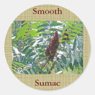 Pegatina Redonda Elementos coincidentes Sumac Berries Suoth