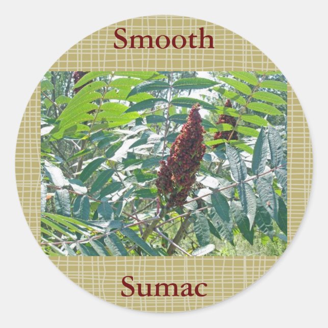 Pegatina Redonda Elementos coincidentes Sumac Berries Suoth (Anverso)