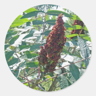 Pegatina Redonda Elementos coincidentes Sumac Berries Suoth