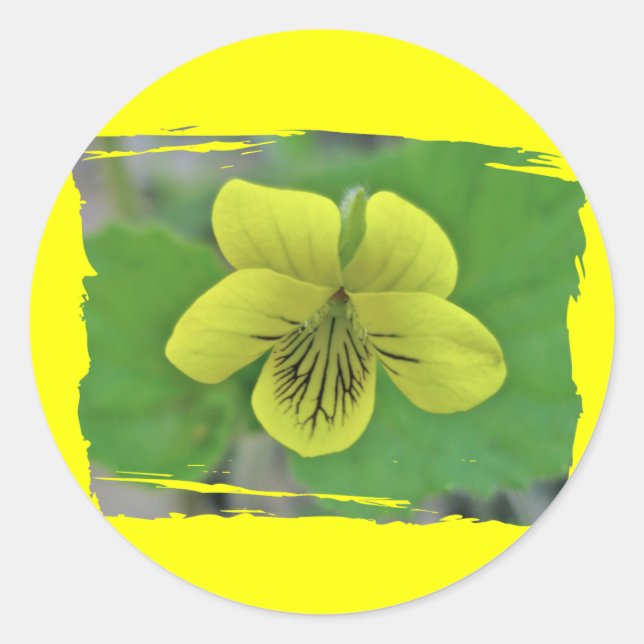 Pegatina Redonda Elementos de coordenadas violeta amarillo salvaje (Anverso)