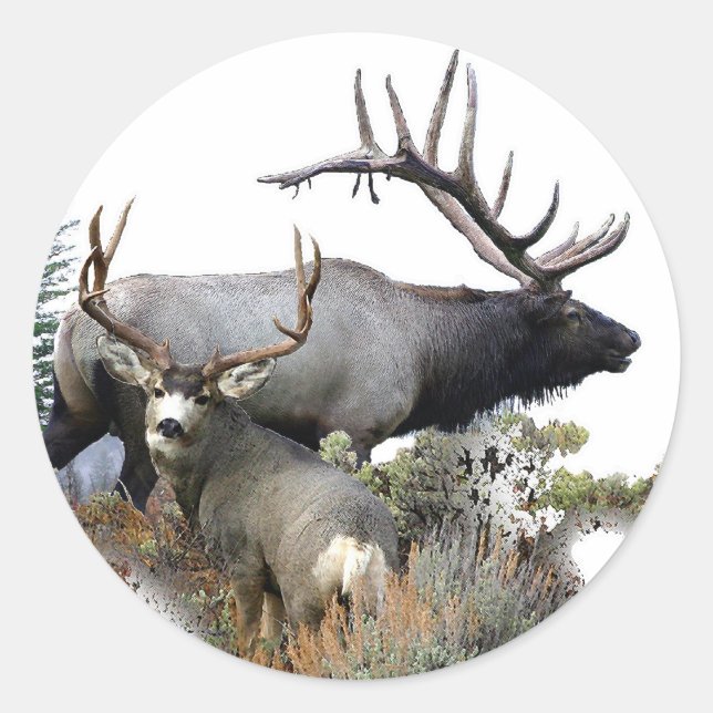 Pegatina Redonda Elk y mule deer (Anverso)