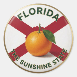 Pegatina Redonda Emblema de Círculo de Naranja de Florida 🍊