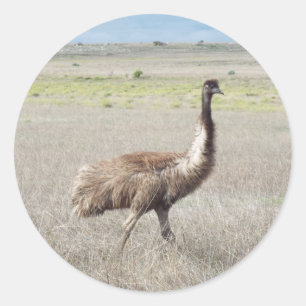 Pegatina Redonda emu stride