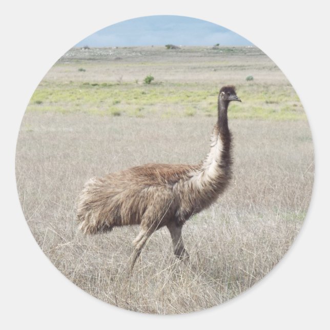 Pegatina Redonda emu stride (Anverso)