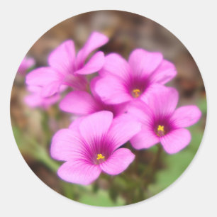 Pegatina Redonda En mis Pegatinas en la puerta