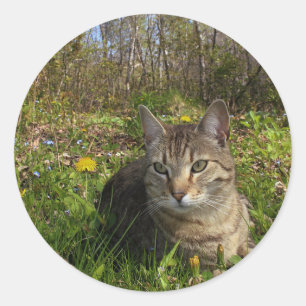 Pegatina Redonda En su zona de comodidad