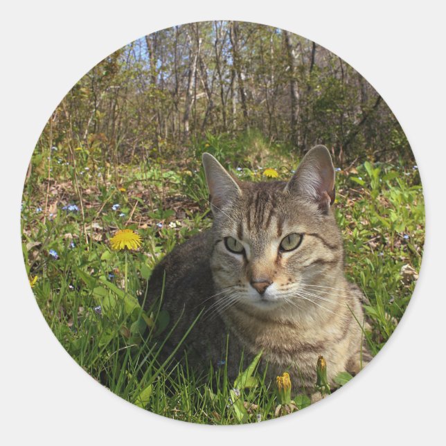 Pegatina Redonda En su zona de confort (Anverso)