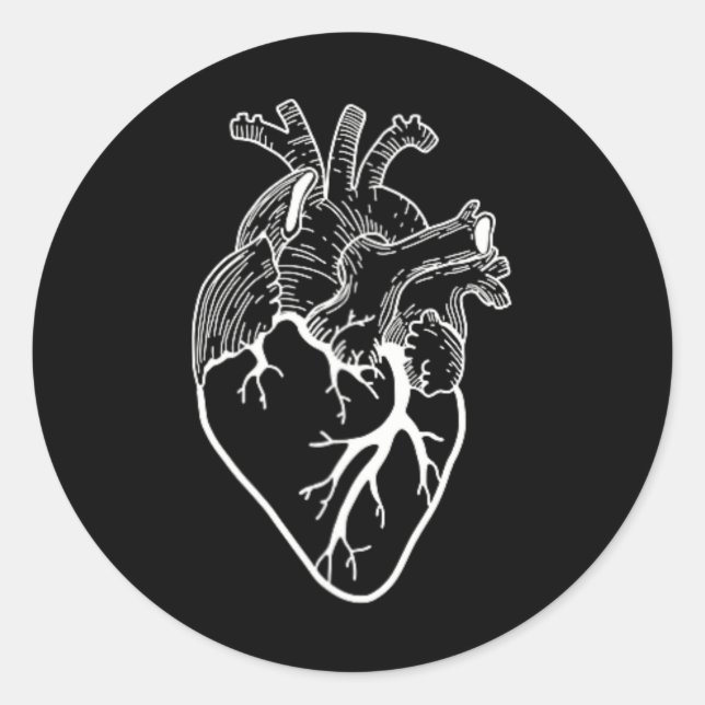 Pegatina Redonda Enfermero cardiaco anatómico (Anverso)