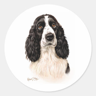 Pegatina Redonda English Springer Spaniel
