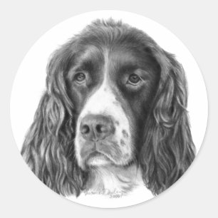Pegatina Redonda English Springer Spaniel