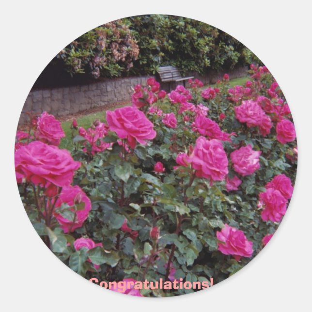 Pegatina Redonda ¡Enhorabuena! (Anverso)