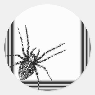 Pegatina Redonda Enmarcado Tarantula Halloween