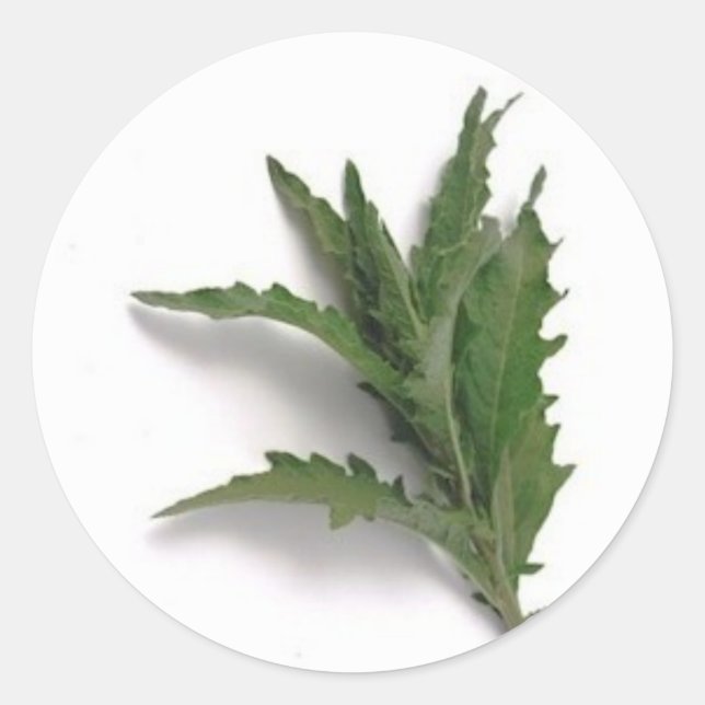 Pegatina Redonda Epazote (Anverso)
