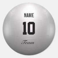 Equipo de voleibol