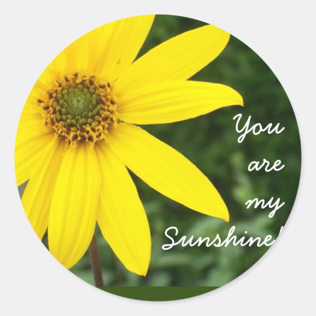 Pegatina Redonda '¡Eres mi Sunshine!' Pegatinas (Anverso)