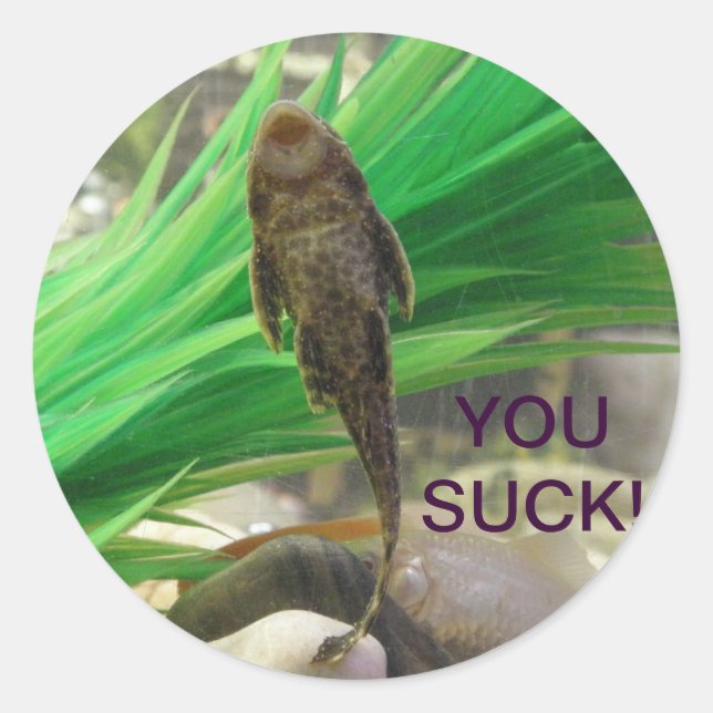 Pegatina Redonda ¡¡¡Eres Pegatina!!! (Anverso)