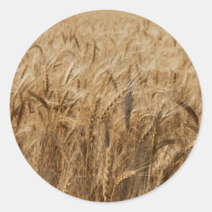 Pegatina Redonda Erick, Oklahoma Route 66