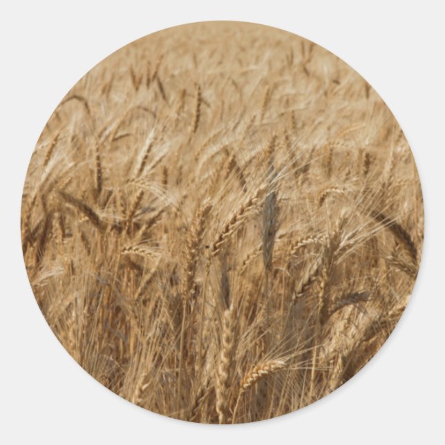 Pegatina Redonda Erick, Oklahoma Route 66 (Anverso)