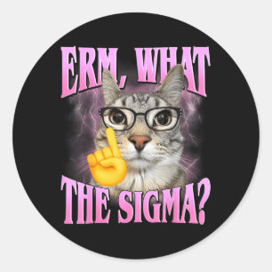 Pegatina Redonda Erm Qué Sigma_ Humor Divertido Meme de Gato con