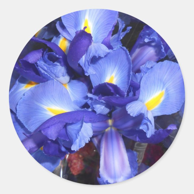 Pegatina Redonda Ermengarde (Anverso)