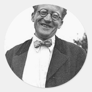 Pegatina Redonda erwin schrodinger