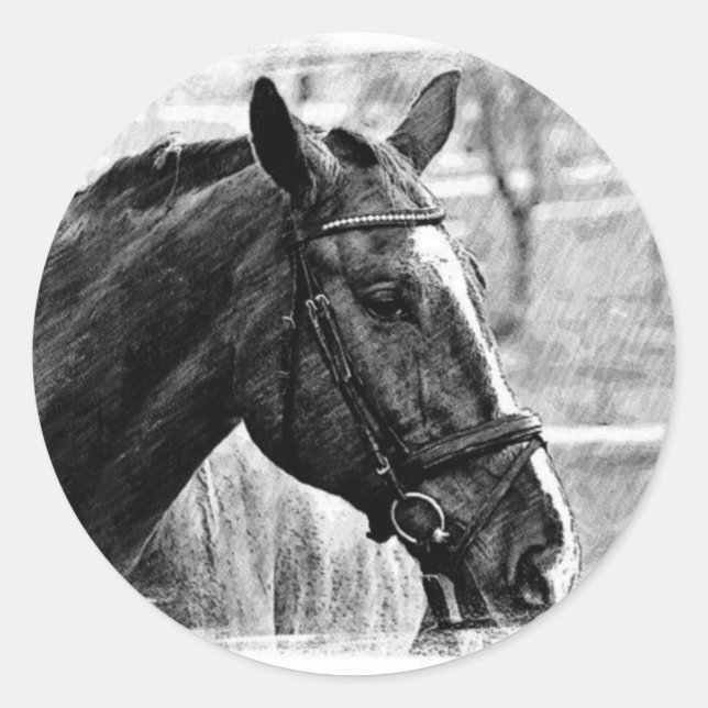 Pegatina Redonda Esbozo de caballos blancos negros (Anverso)