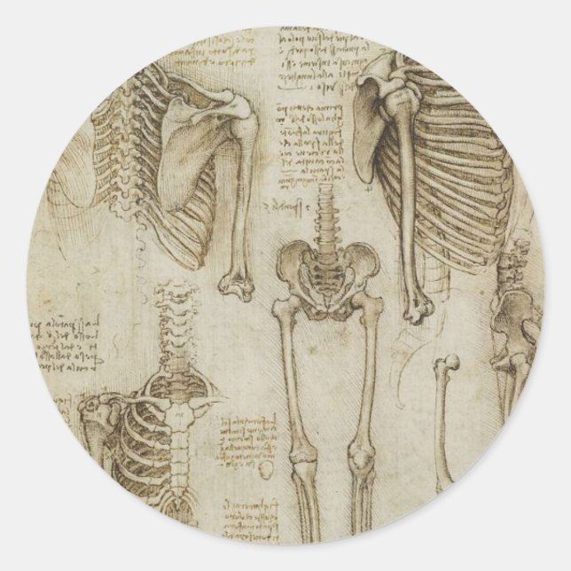 Pegatina Redonda Esbozos de la anatomía humana de Da Vinci (Anverso)