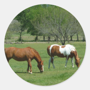 Pegatina Redonda Escena De Caballos Asombrosos