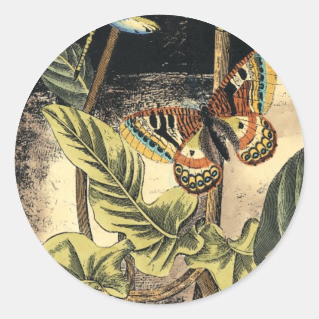 Pegatina Redonda Escena de naturaleza oscura de Vision Studio (Anverso)