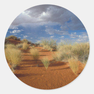 Pegatina Redonda Escena del desierto de Kalahari, Kgalagadi Transfr