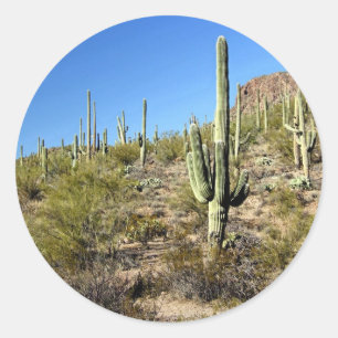 Pegatina Redonda Escena del desierto de Sonoran 03
