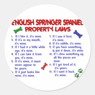 Pegatina Redonda ESPAÑOL - PRINCIPIO INGLÉS - Leyes de propiedad 2