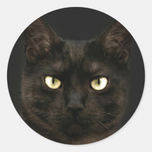 Pegatina Redonda Espeluznante gato negro