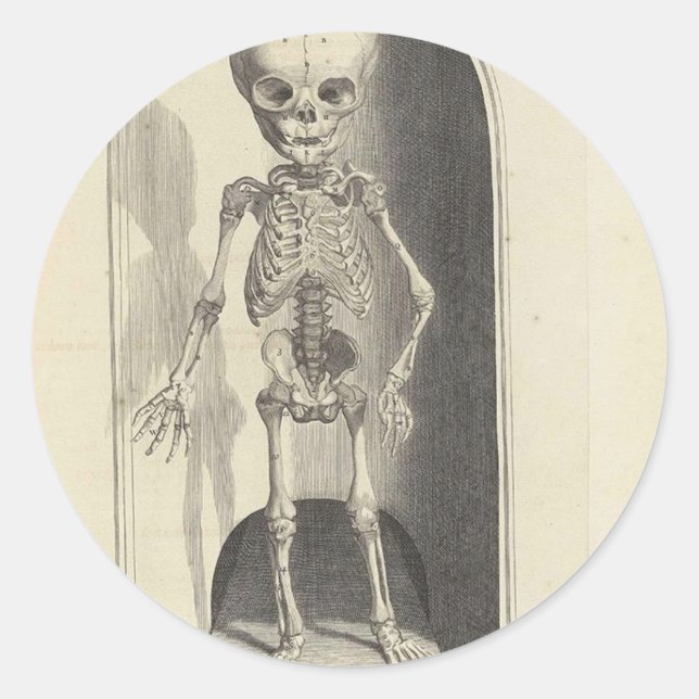 Pegatina Redonda Esqueleto infantil (Anverso)