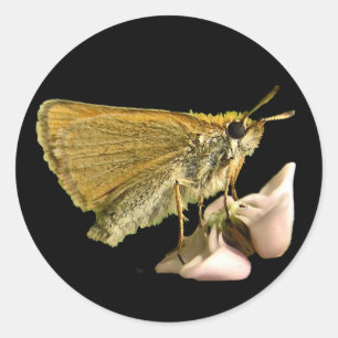 Pegatina Redonda Esquiador en Milkweed