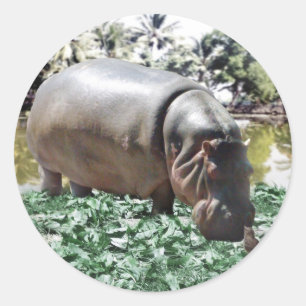 Pegatina Redonda Está bien que seamos diferentes, podemos resolver