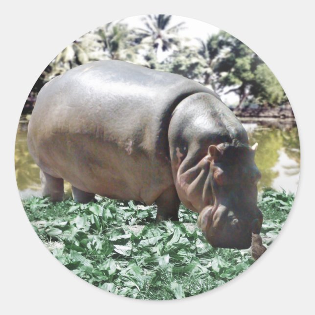 Pegatina Redonda Está bien que seamos diferentes, podemos resolverl (Anverso)