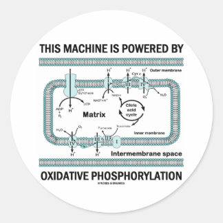 Pegatina Redonda Esta Máquina Alimentada Por Fosforilación Oxidativ