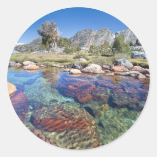 Pegatina Redonda Estados Unidos, California, Bosque Nacional Inyo 4